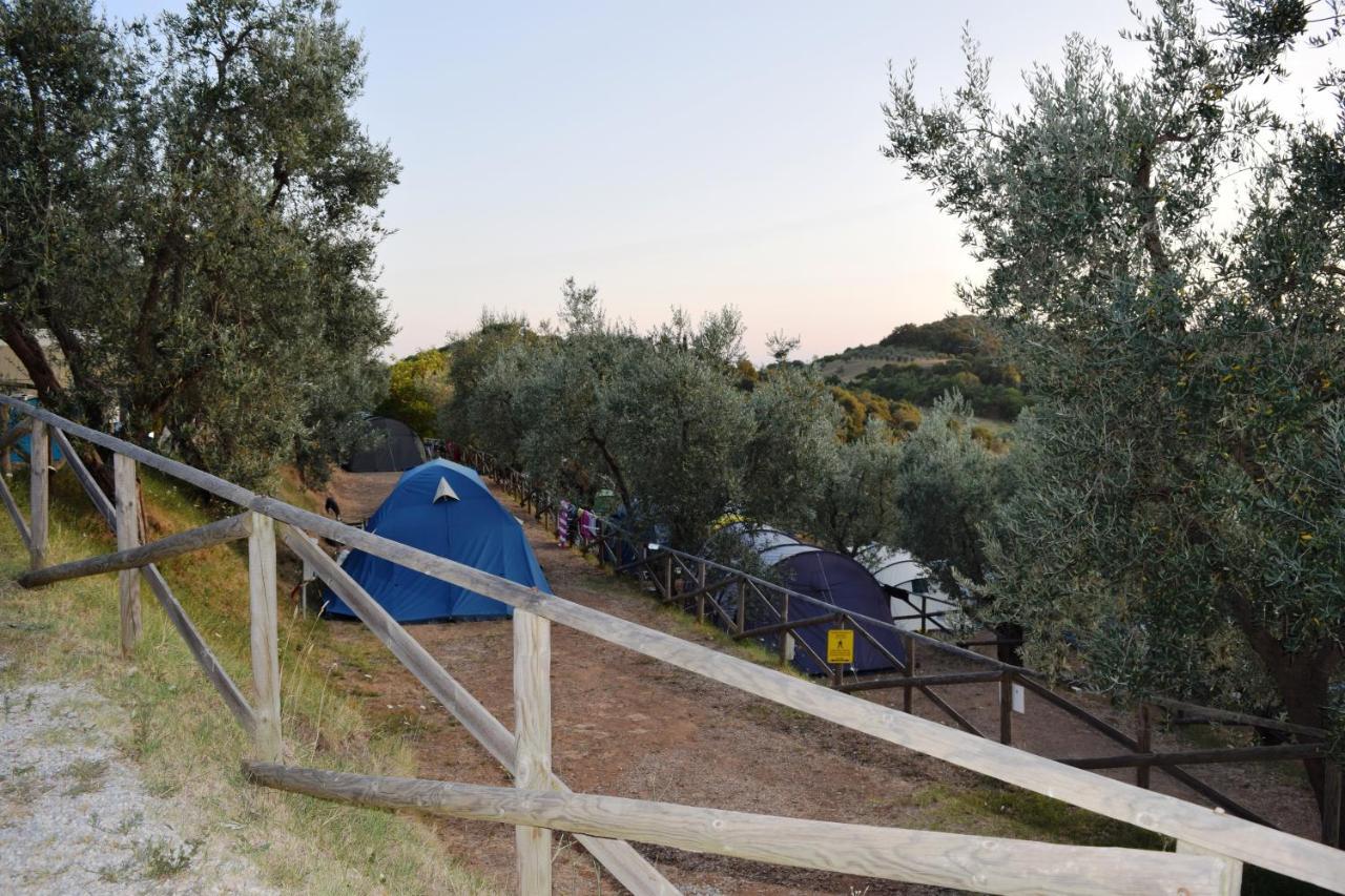 Blucamp Hotel Campiglia Marittima Exterior foto