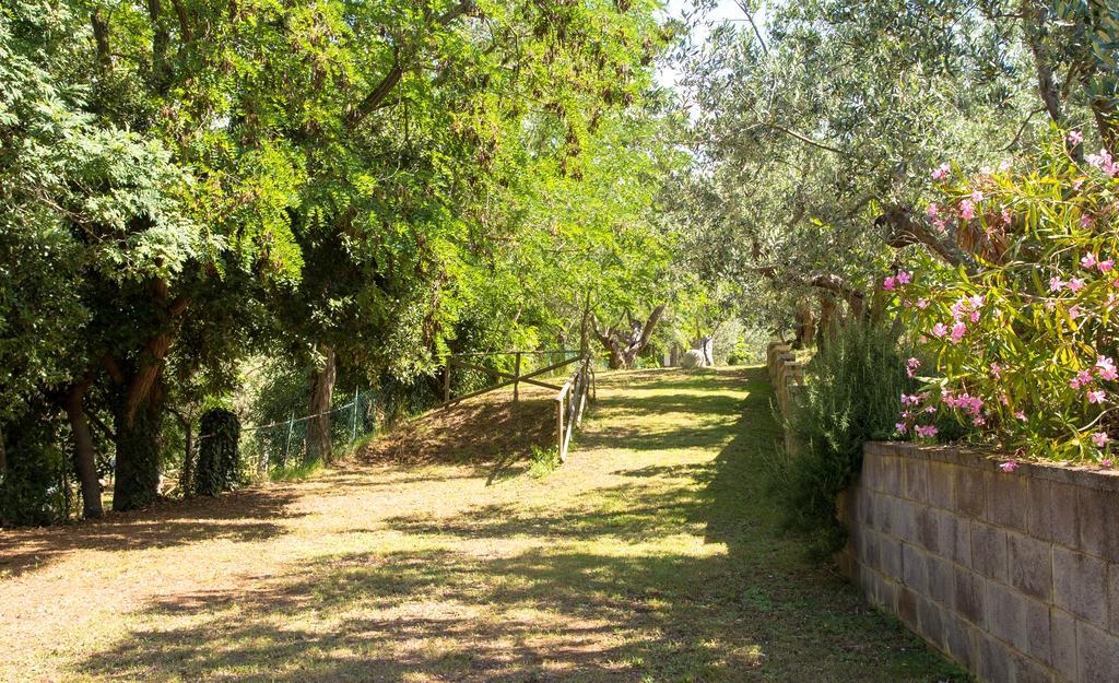 Blucamp Hotel Campiglia Marittima Exterior foto
